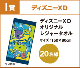 I賞 ディズニーXD