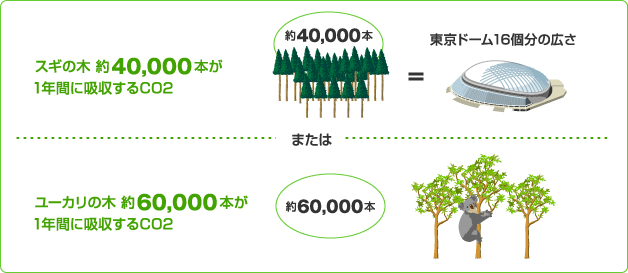 スギの木約40,000本が1年間に吸収するCO2＝東京ドーム16個分の広さ